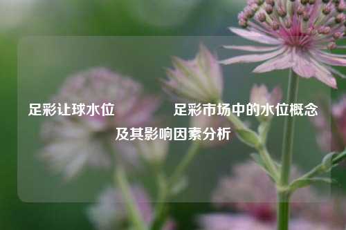 足彩让球水位🏆足彩市场中的水位概念及其影响因素分析