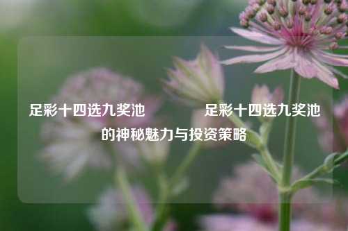 足彩十四选九奖池🥇足彩十四选九奖池的神秘魅力与投资策略