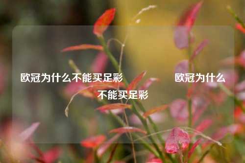 欧冠为什么不能买足彩🎖️欧冠为什么不能买足彩