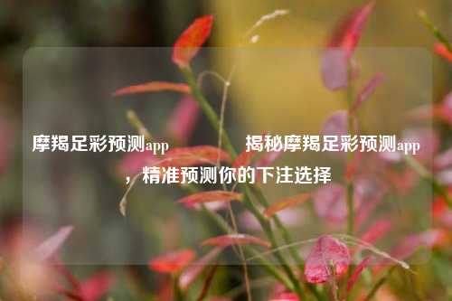 摩羯足彩预测app🥈揭秘摩羯足彩预测app，精准预测你的下注选择