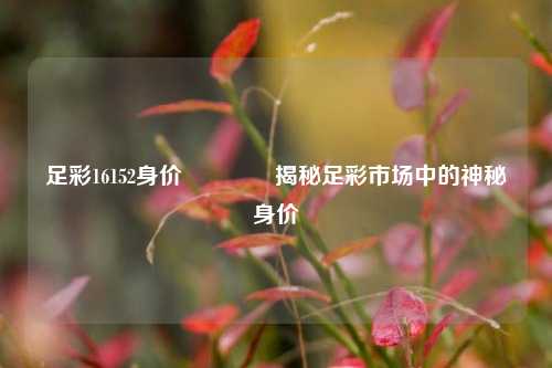 足彩16152身价🌈揭秘足彩市场中的神秘身价