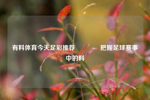 有料体育今天足彩推荐🏆把握足球赛事中的料
