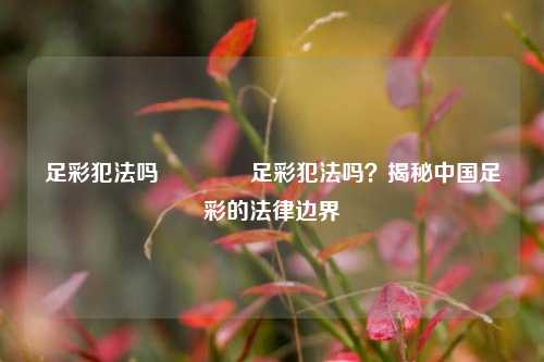 足彩犯法吗🏆足彩犯法吗？揭秘中国足彩的法律边界
