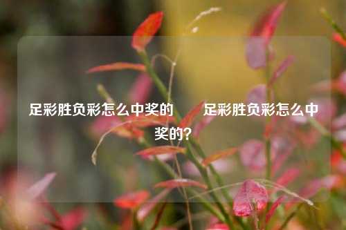 足彩胜负彩怎么中奖的✌️足彩胜负彩怎么中奖的？