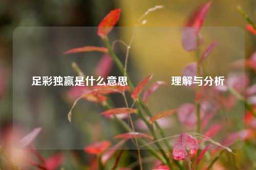 足彩独赢是什么意思🥇理解与分析