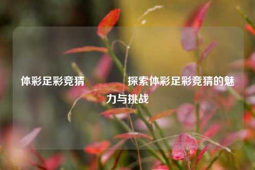 体彩足彩竞猜🏅探索体彩足彩竞猜的魅力与挑战