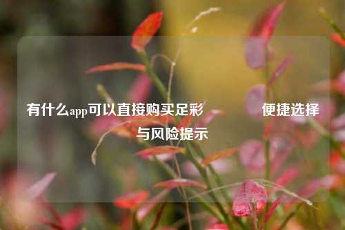 有什么app可以直接购买足彩🌈便捷选择与风险提示