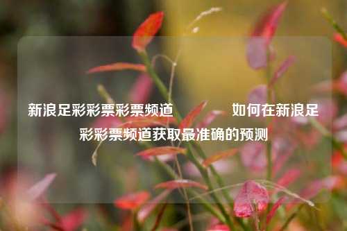 新浪足彩彩票彩票频道🏅如何在新浪足彩彩票频道获取最准确的预测