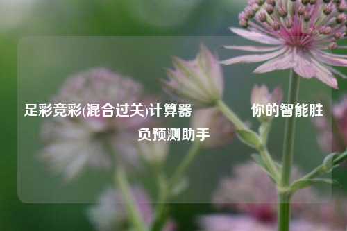 足彩竞彩(混合过关)计算器🏅你的智能胜负预测助手