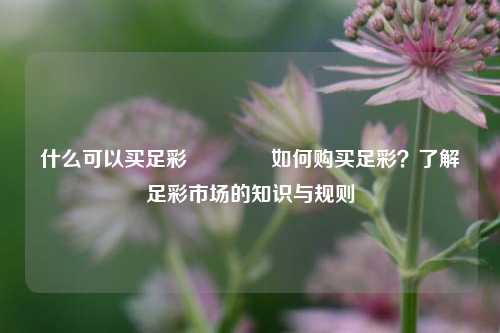什么可以买足彩🥇如何购买足彩？了解足彩市场的知识与规则
