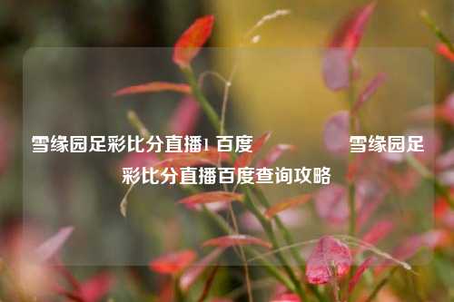 雪缘园足彩比分直播1 百度🎖️雪缘园足彩比分直播百度查询攻略
