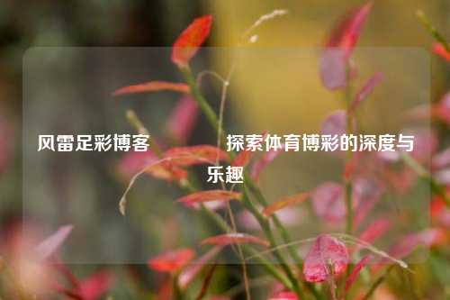 风雷足彩博客👉探索体育博彩的深度与乐趣