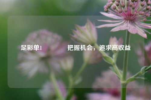 足彩单1🥈把握机会，追求高收益