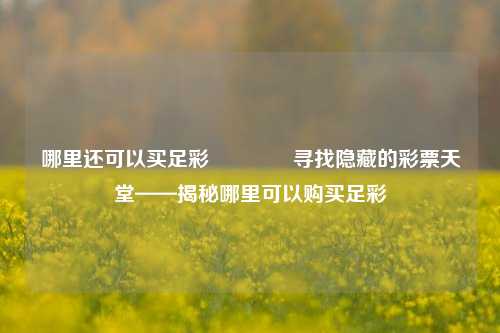 哪里还可以买足彩🌈寻找隐藏的彩票天堂——揭秘哪里可以购买足彩