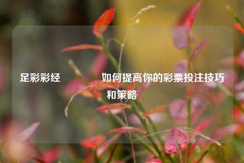 足彩彩经🥇如何提高你的彩票投注技巧和策略