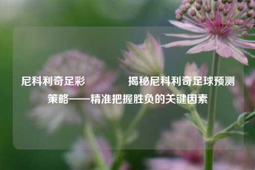 尼科利奇足彩🏆揭秘尼科利奇足球预测策略——精准把握胜负的关键因素