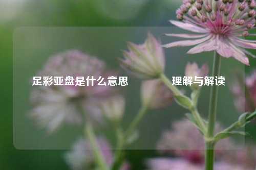 足彩亚盘是什么意思🥇理解与解读