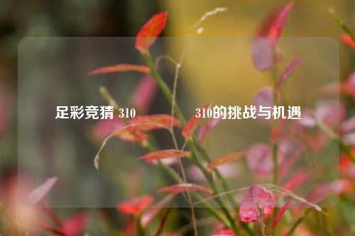 足彩竞猜 310👉310的挑战与机遇