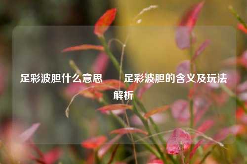 足彩波胆什么意思✌️足彩波胆的含义及玩法解析