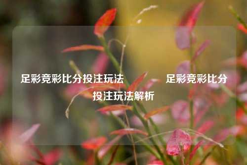 足彩竞彩比分投注玩法👈足彩竞彩比分投注玩法解析