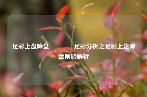 足彩上盘降盘🥇足彩分析之足彩上盘降盘策略解析