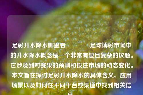 足彩升水降水哪里看🏆足球博彩市场中的升水降水概念是一个非常有趣且复杂的议题。它涉及到对赛果的预测和投注市场的动态变化。本文旨在探讨足彩升水降水的具体含义、应用场景以及如何在不同平台或渠道中找到相关信息。