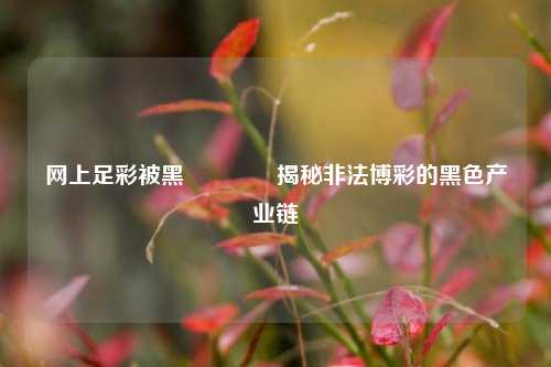 网上足彩被黑🌈揭秘非法博彩的黑色产业链