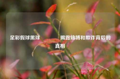 足彩假球黑球🏆揭露赌博和欺诈背后的真相