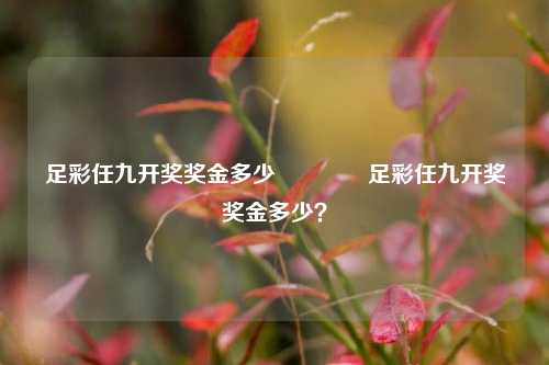 足彩任九开奖奖金多少🥈足彩任九开奖奖金多少？