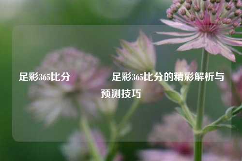 足彩365比分👍足彩365比分的精彩解析与预测技巧