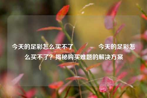 今天的足彩怎么买不了🌈今天的足彩怎么买不了？揭秘购买难题的解决方案