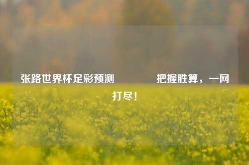 张路世界杯足彩预测🥉把握胜算，一网打尽！