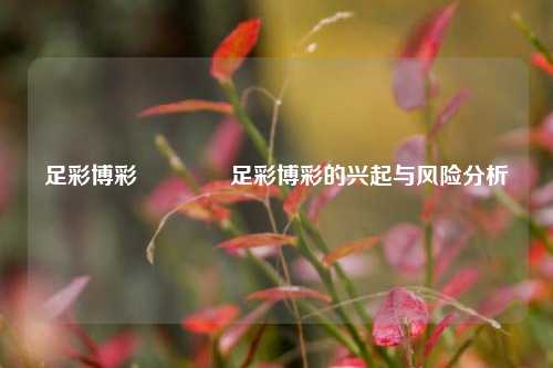 足彩博彩🥈足彩博彩的兴起与风险分析
