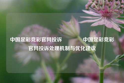 中国足彩竞彩官网投诉🥉中国足彩竞彩官网投诉处理机制与优化建议