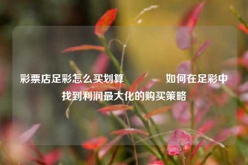 彩票店足彩怎么买划算🥈如何在足彩中找到利润最大化的购买策略