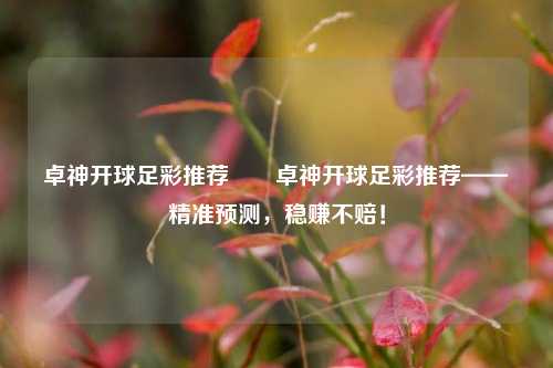 卓神开球足彩推荐✌️卓神开球足彩推荐——精准预测，稳赚不赔！