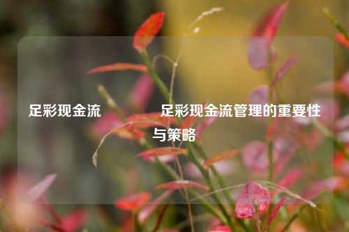足彩现金流🏅足彩现金流管理的重要性与策略