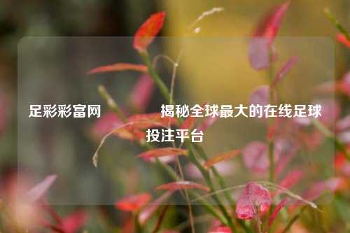 足彩彩富网🥈揭秘全球最大的在线足球投注平台