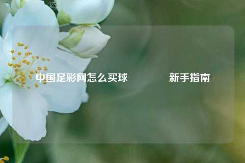 中国足彩网怎么买球🏅新手指南