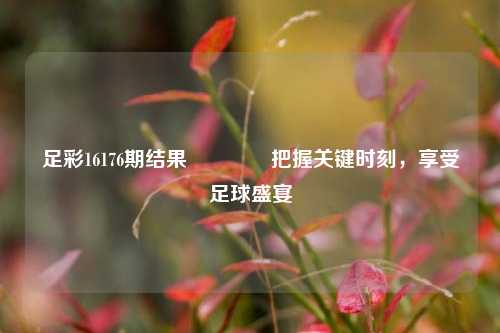 足彩16176期结果🏆把握关键时刻，享受足球盛宴