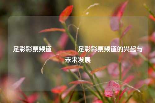 足彩彩票频道🥈足彩彩票频道的兴起与未来发展