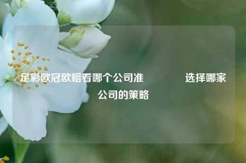 足彩欧冠欧赔看哪个公司准🥇选择哪家公司的策略
