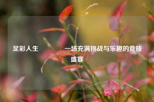 足彩人生👍一场充满挑战与乐趣的竞技盛宴