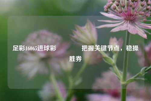 足彩16065进球彩👉把握关键节点，稳操胜券