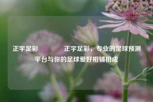 正宇足彩🏆正宇足彩，专业的足球预测平台与你的足球爱好相辅相成