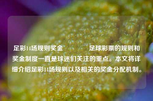 足彩14场规则奖金🏆足球彩票的规则和奖金制度一直是球迷们关注的重点。本文将详细介绍足彩14场规则以及相关的奖金分配机制。