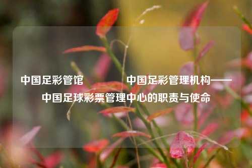 中国足彩管馆🌈中国足彩管理机构——中国足球彩票管理中心的职责与使命