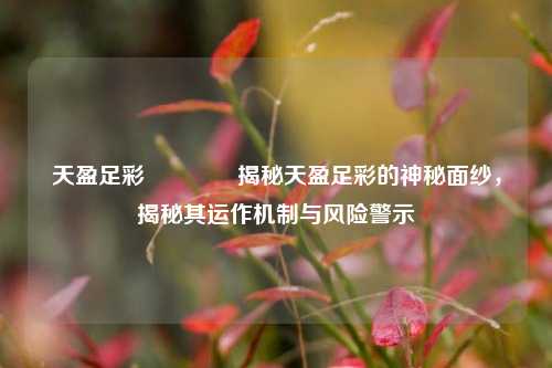 天盈足彩🏆揭秘天盈足彩的神秘面纱，揭秘其运作机制与风险警示