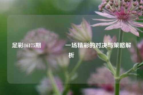 足彩16175期🏆一场精彩的对决与策略解析