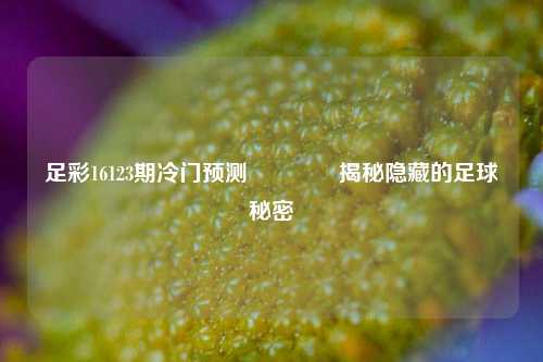 足彩16123期冷门预测🥇揭秘隐藏的足球秘密